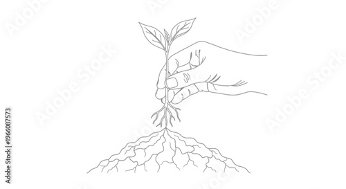 Human hand gently holding a small green seedling with visible roots, symbolizing new life and environmental care on an isolated white background.