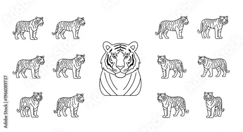 Detailed drawing of a tiger head.