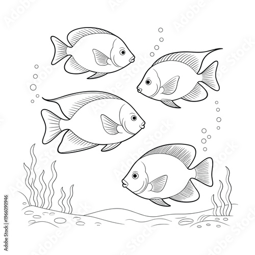 A collection of sea creatures swimming in the ocean waters isolated on white background, Vector