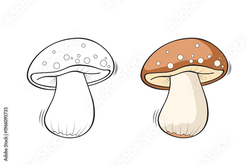 Mushroom outline and colored version side by side, hand drawn fungi vector illustration for coloring book pages
