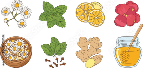 Herbal Tea Ingredients Including Chamomile, Mint, Ginger, Honey, Lemon, and Rose for Natural Wellness and Remedies
