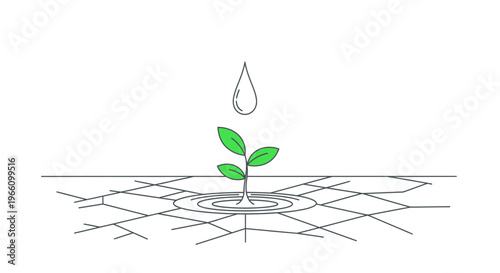 Young green plant sprouting from dry cracked earth with a single water drop on an isolated white background.