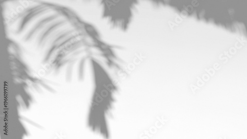 Quadro em tela Abstract shadow palm tree on wind sunshine background, 3d rendering