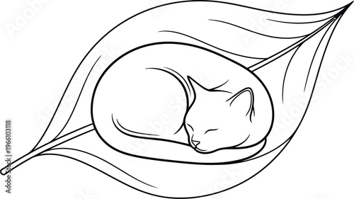 Simple black and white line art illustration shows a curled up sleeping kitten resting peacefully inside a large single botanical leaf shape
