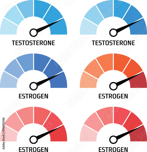 : Hormone level gauge set featuring blue testosterone meters and red estrogen meters in symmetrical 2x3 grid with segmented semicircular dial