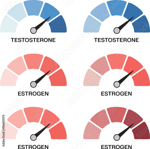 Blue Testosterone and Red Estrogen Hormone Level Gauge Icons in 2x3 Symmetrical Grid with Segmented Semicircular Dial Design