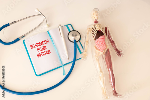 Helicobacter pylori, medical and healthcare conceptual image. H. pylori