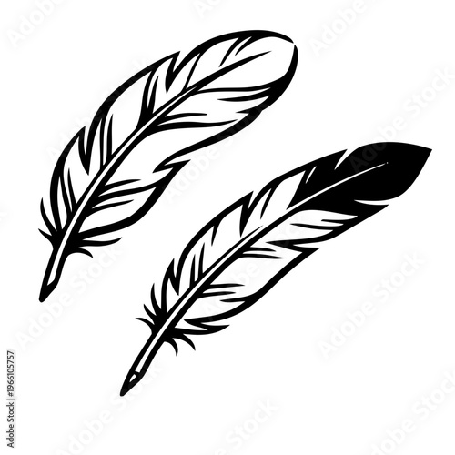 Vintage pen and ink style illustrations of feathers in vector format