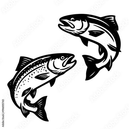 Vintage pen and ink style illustrations of fish in vector format
