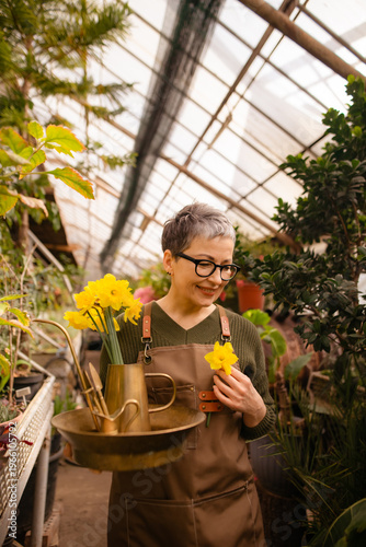 mature woman florist with yellow daffodils enjoy spring in greenhouse