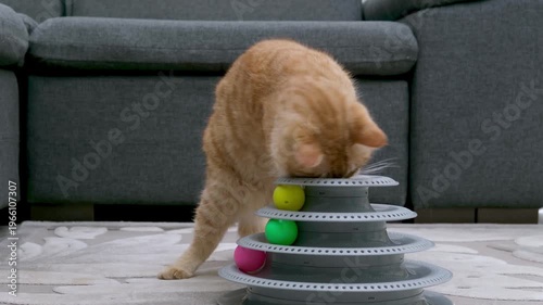Ginger cat playing with a toy on the floorм