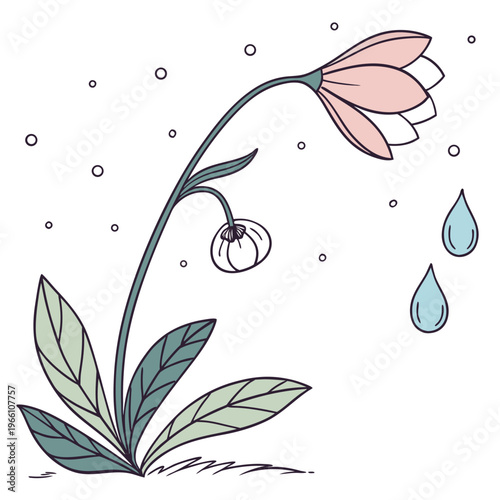 Pink flower with green leaves and raindrops on white background nature