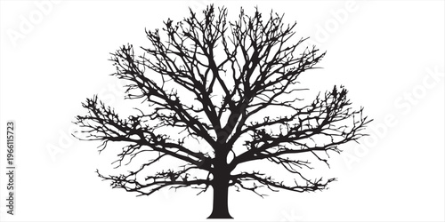 Tableau sur toile A silhouette illustration of a large oak tree with an expansive crown against a
