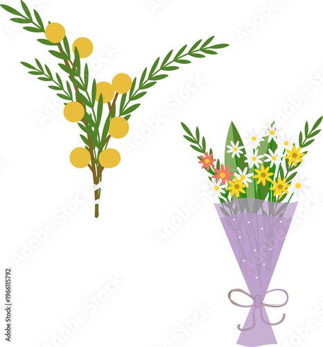 spring floral vector set with yellowmimosa branch and wildflower bouquet in purple paper wrapping.