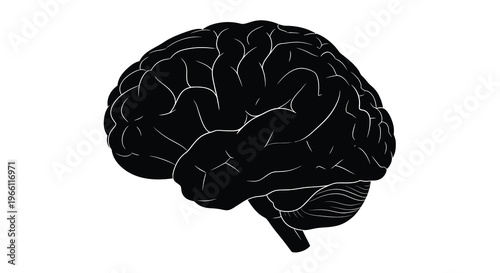 A stark black silhouette depicts a human brain showcasing its complex folds and overall anatomical structure high quality professional detailed modern