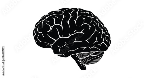 A stark black silhouette depicts a human brain showcasing its complex folds and anatomical structure against white high quality professional detailed