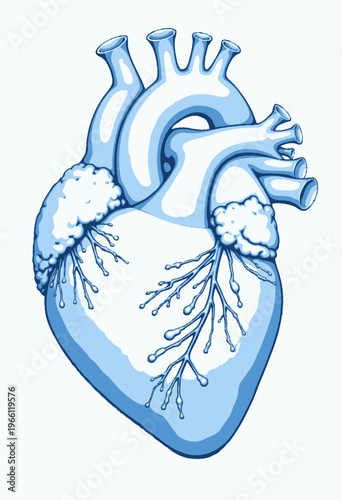 Intricate Anatomical Illustration of the Human Heart with Detailed Arteries and Veins in Vivid Blue Shades Highlighting Circulatory System Pathways