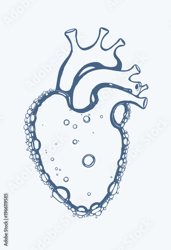 Artistic Representation of a Transparent Heart Encapsulated in Bubbles Highlighting the Complex Beauty and Fragility of Human Anatomy in a Simplistic Style
