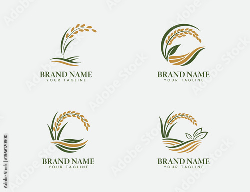 wheat or rice farming logo abstract design illustration