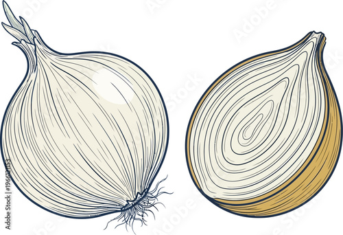 Whole and Cut Onion Illustration for Cooking Recipe Food Blog Vegetable Packaging and Culinary Content Design Use