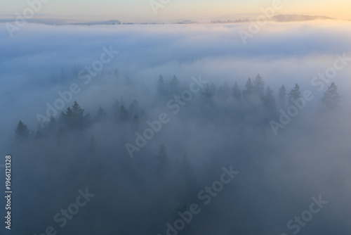 Fog drifts over a scenic forest of evergreen fir trees in Oregon, just south of Portland. The entire Pacific Northwest region is known for its magnificent forests and mountainous landscapes.