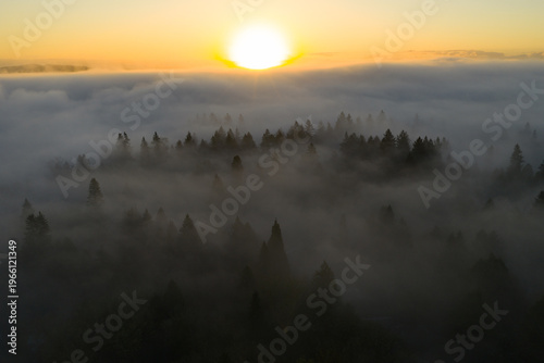 Fog drifts over a scenic forest of evergreen fir trees in Oregon, just south of Portland. The entire Pacific Northwest region is known for its magnificent forests and mountainous landscapes.