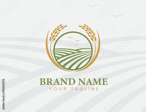 wheat or rice farming logo or icon design