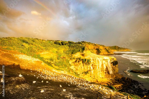 Tasman Sea. Magical sunset at Muriwai Beach. New Zealand, North Island.