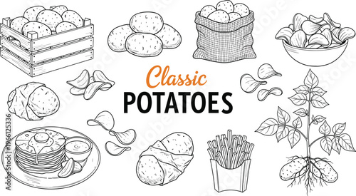Vintage hand drawn potato sketch set featuring raw tubers in crates, sacks, botanical plant with roots, french fries, chips, pancakes, and baked potato.