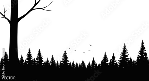 Silhouette of a forest with birds flying in the sky
