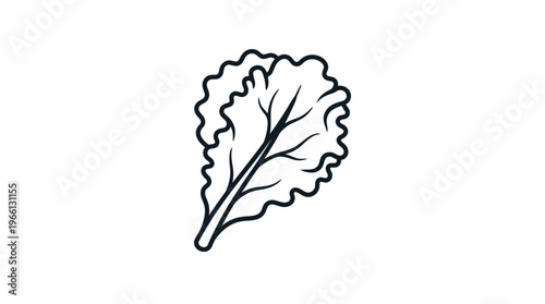 Simple lettuce leaf icon for healthy food and vegetable designs.