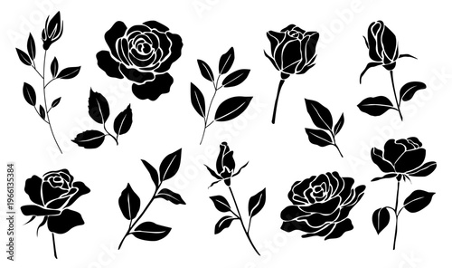 Black silhouettes of roses and leaves on transparent background. Each bloom shows unique stage of opening or closing. Stems and leaves flow naturally from central clusters