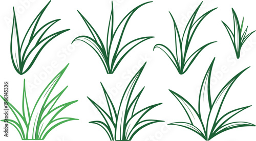 Green grass doodle collection with varying blade lengths and shades blades leaves