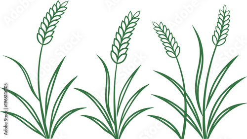 Green grass doodles with soft rounded blades and wheat ears