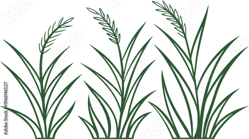 Hand drawn green grass blades with seed heads