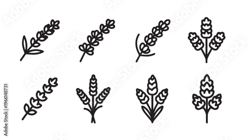 Lavender Sprigs Line Art Collection Botanical Icons Floral Elements Vector Graphics Minimalist Design