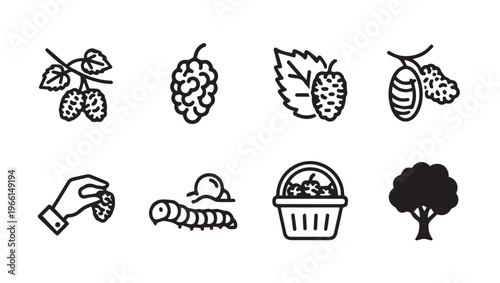 Mulberry Icons: Harvesting Tree Fruit Leaf Worm Basket