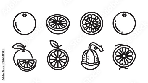 Orange Citrus Fruit Slice Icons Whole and Halved Line Art Style
