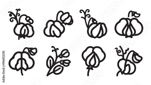 Sweet Pea Flower Icons Simple Outline Drawing Plant Vector Collection