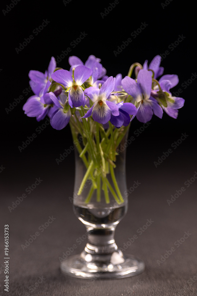 Fototapeta premium Fresh violet flowers blooming in small glass vase