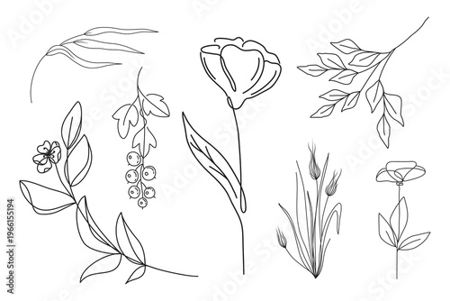 Set of hand drawn different floral elements in minimalist art. Sketch flowers, branches, grass, barries. Outline botanical vector illustration.