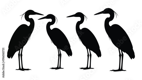 Four herons depicted in a minimalist black silhouette style facing various directions