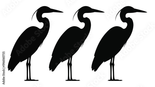 Three elegant heron silhouettes stand in a row showcasing their graceful necks