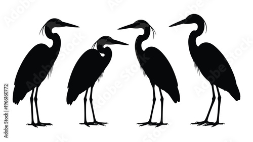 Four heron silhouettes display varying poses and neck curvatures against a white background