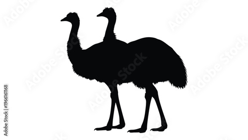 Silhouette of two emus standing side by side against a plain white background
