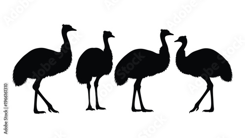 Four emu silhouettes shown in varying poses against a white background