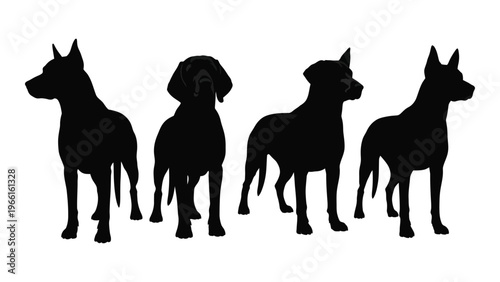 Silhouettes of four different dog breeds standing in a row