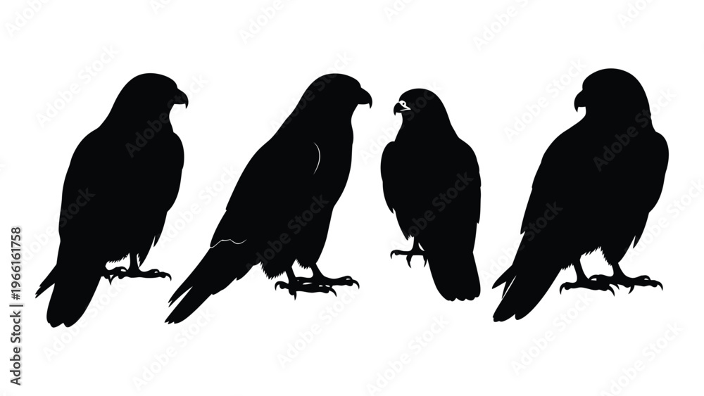 Fototapeta premium Silhouettes of four eagles in various poses against a white background