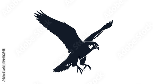 Silhouette of Eagle in Flight.