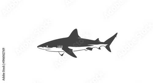 Black and White Illustration of Shark.